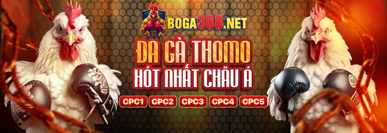 Giải quyết các vấn đề thường gặp tại win98