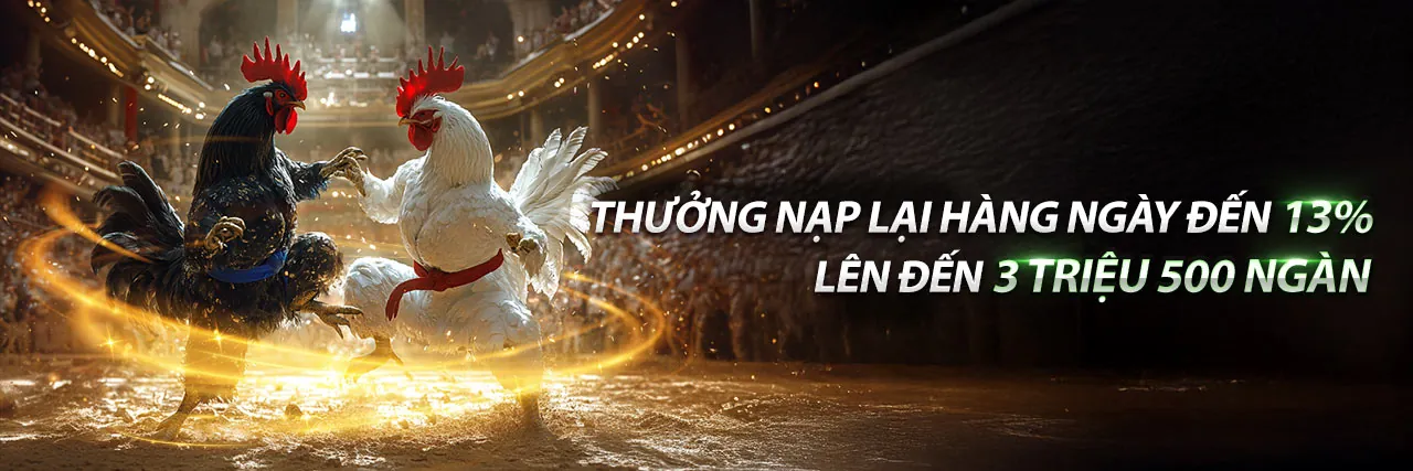 Sân chơi đá gà trực tuyến Win98 2026