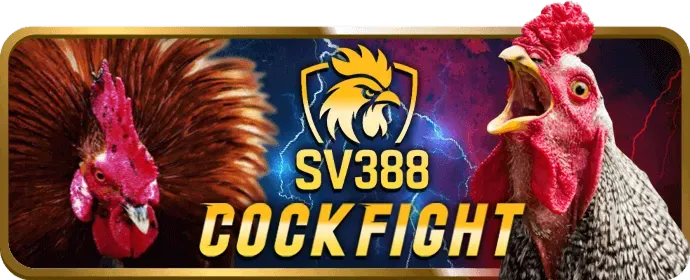 Người chơi Tài Xỉu win98 phân tích lịch sử kết quả để theo cầu