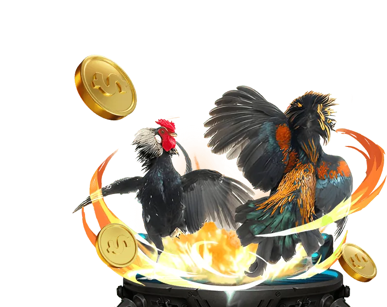 Cá cược Thể thao Jili