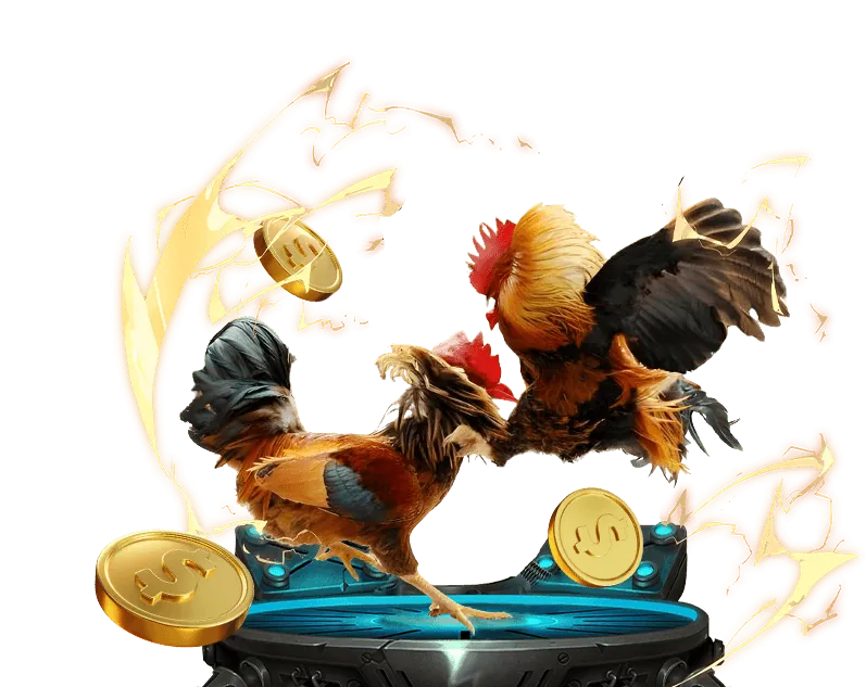 Nền tảng đá gà trực tuyến hiện đại của Jili Casino